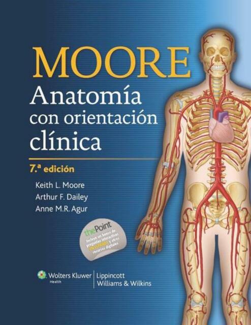 Anatomia con orientacion clinica (Moore 7ed)