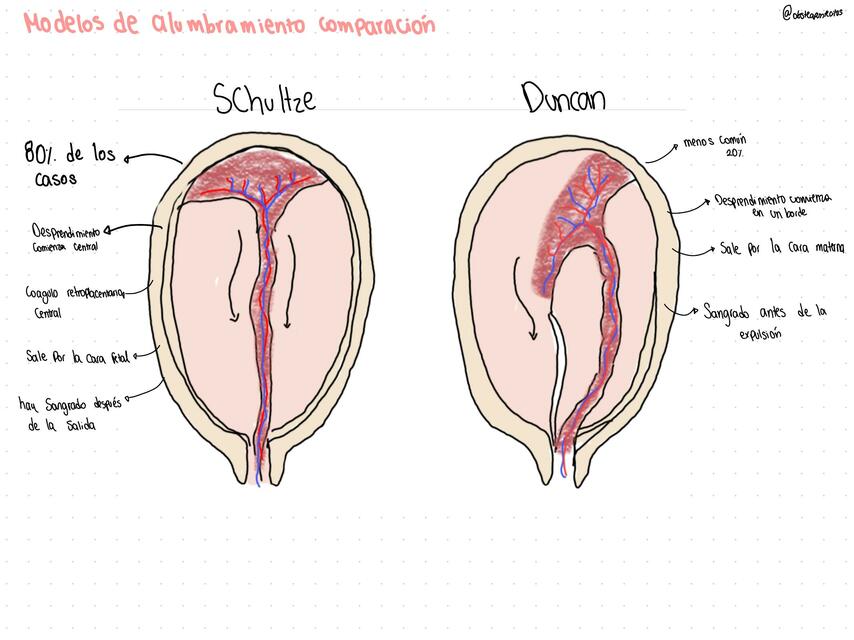 Modelos de alumbramiento | Chiqui Rojita | uDocz