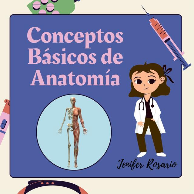 Conceptos basico de anatomía