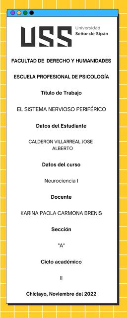 El Sistema Nervioso Periférico 