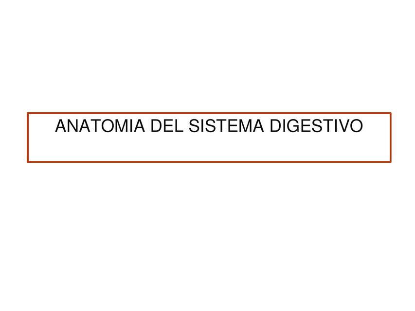 Anatomía del Sistema Digestivo 