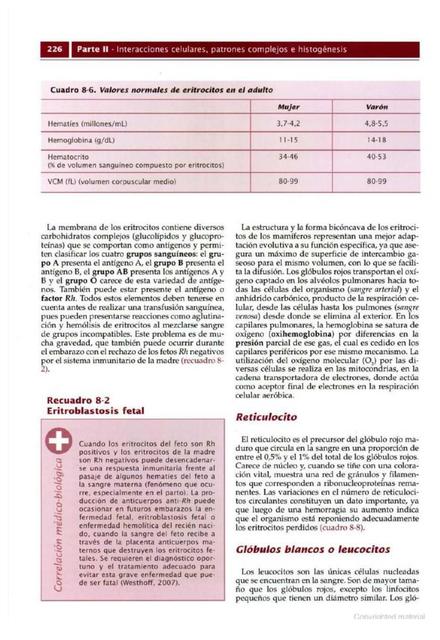 Interacciones celulares, patrones complejos e histogénesis