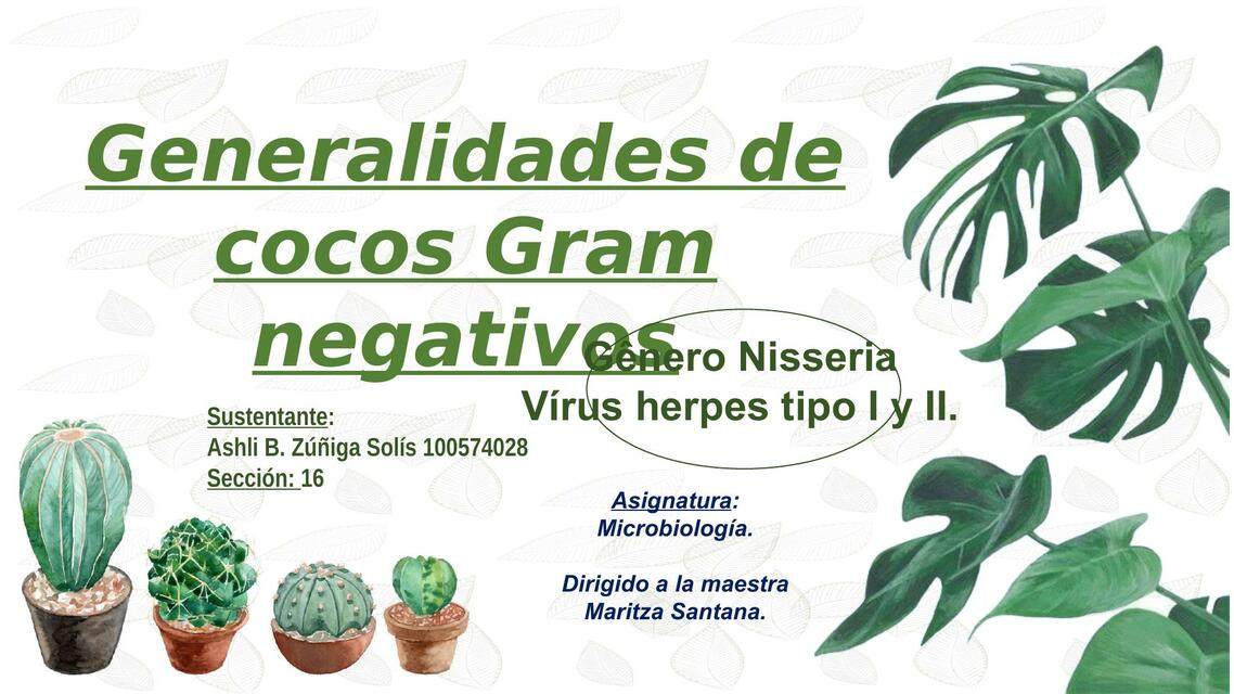 Generalidades de Cocos Gram Negativos 