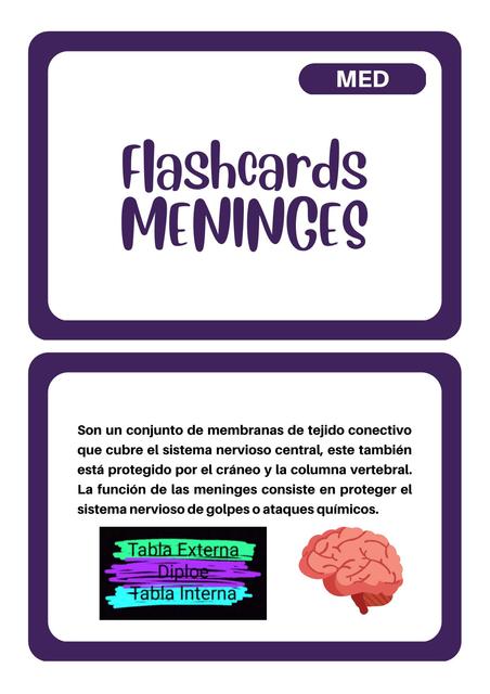 Flashcards meninges