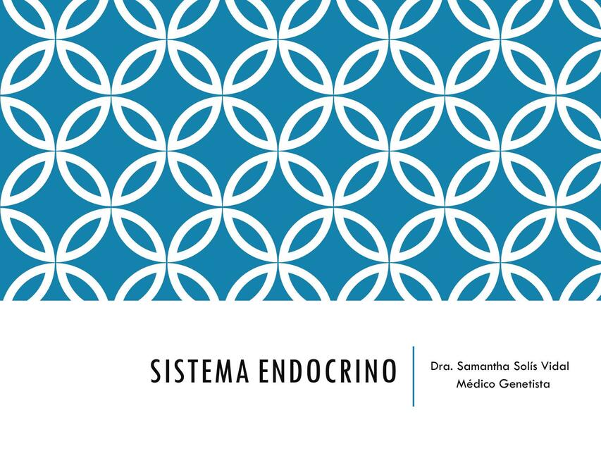 Sistema endocrino 