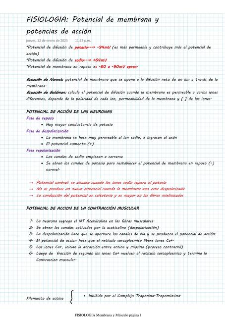 Fisiología Potencial de membrana y potencias de acción