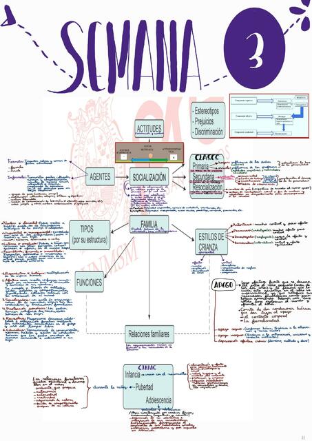 Tema 3 - Psicología