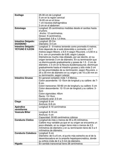 Dimensiones Examen de Laboratorio Anatomía 