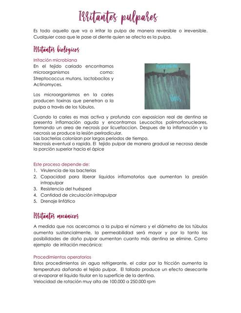 Cuaderno de Endodoncia 