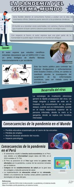 La Pandemia y el Sistema- Mundo