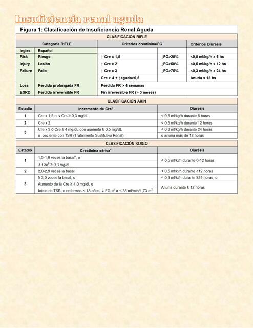 Insuficiencia Renal Aguda