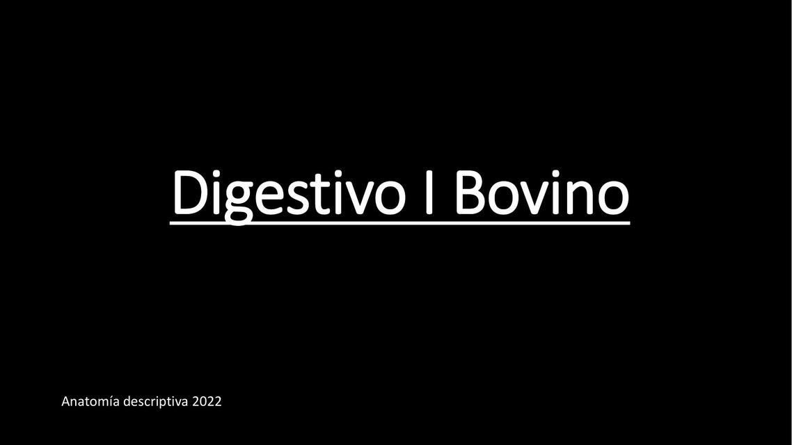 Digestivo I Bovino