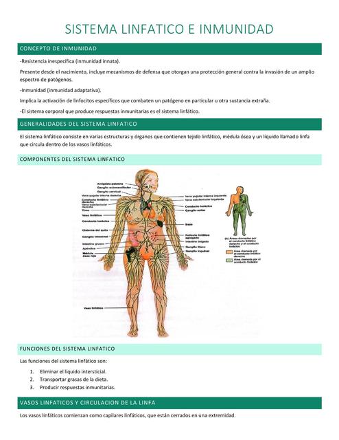 Sistema linfático e inmunidad