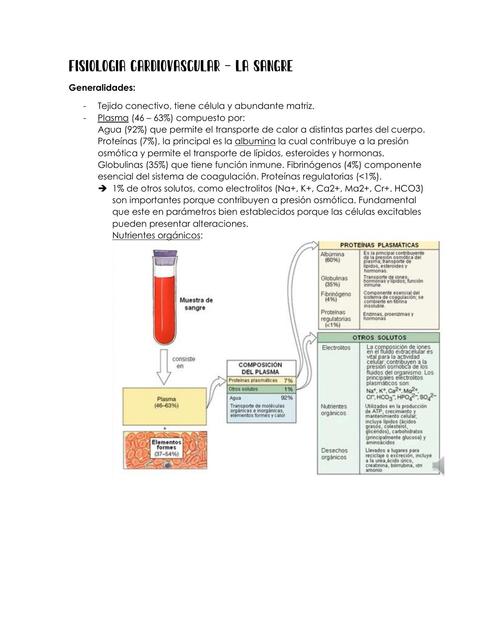 Fisiología cardiovascular