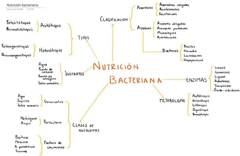 Nutrición Bacteriana