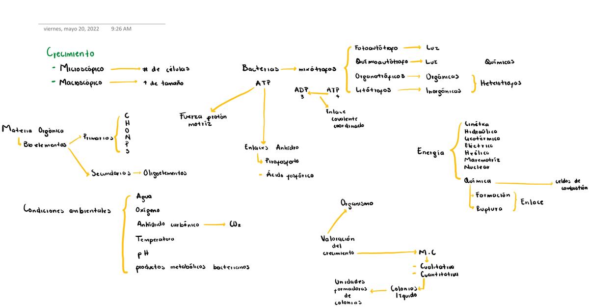 Factores de Crecimiento Bacteriano 