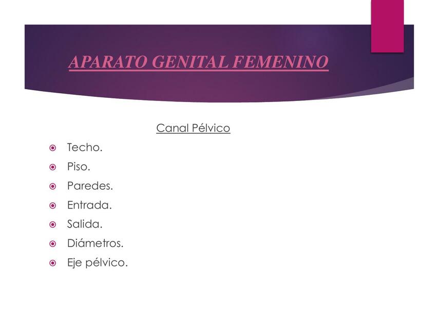 Aparato genital femenino