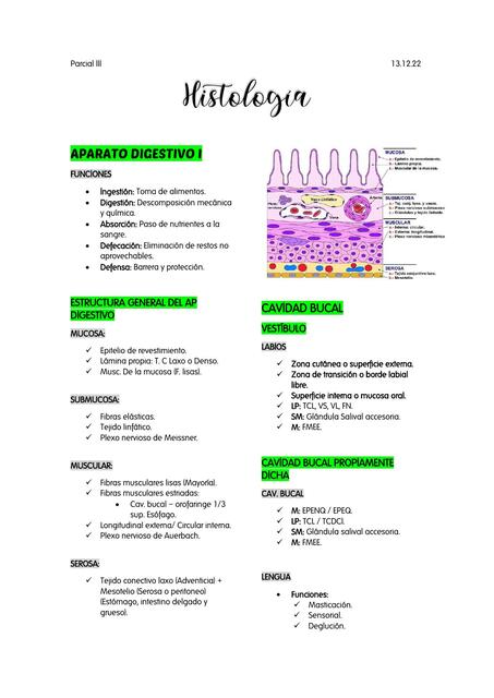 Histología 