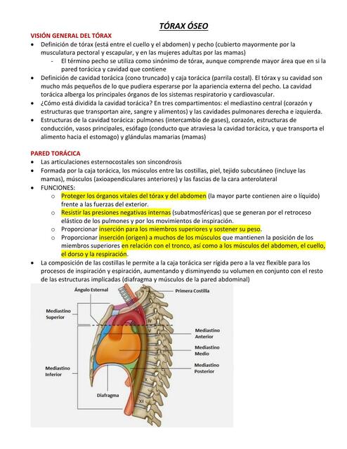 Tórax Óseo 