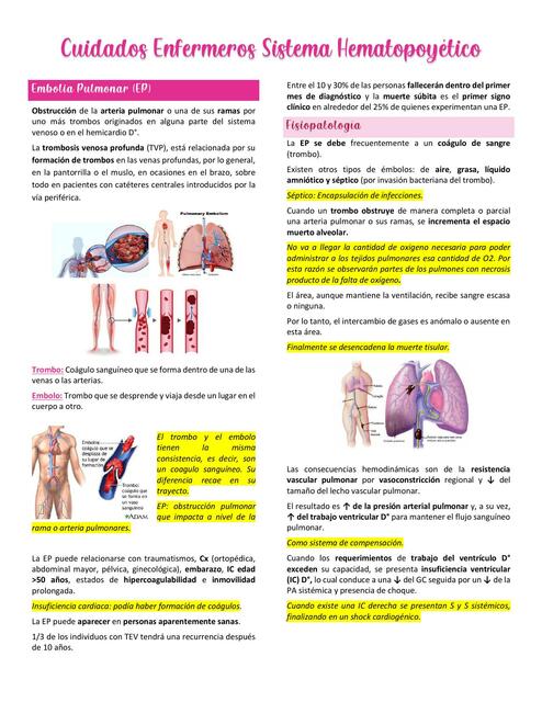 Cuidados Enfermeros en el Sistema Hematopoyético