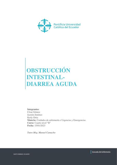 Obstrucción Intestinal- Diarrea Aguda 