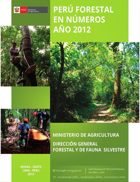 Anuario Peru Forestal 2012