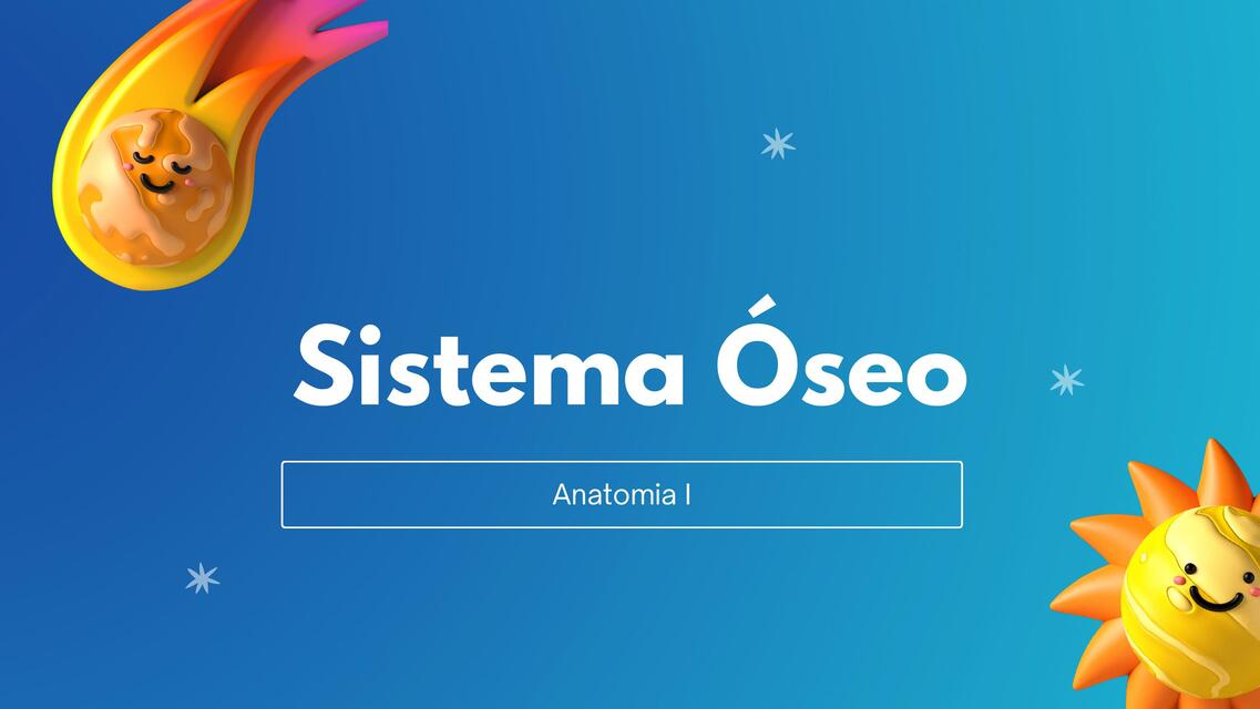 Sistema Óseo