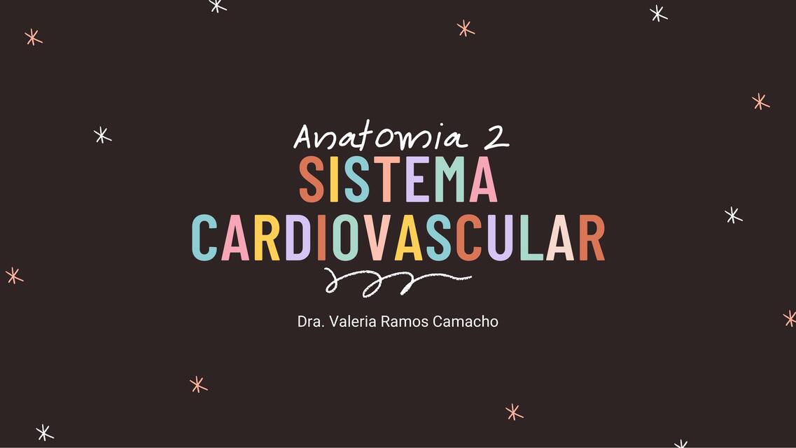 Anatomía 2 Sistema Cardiovascular