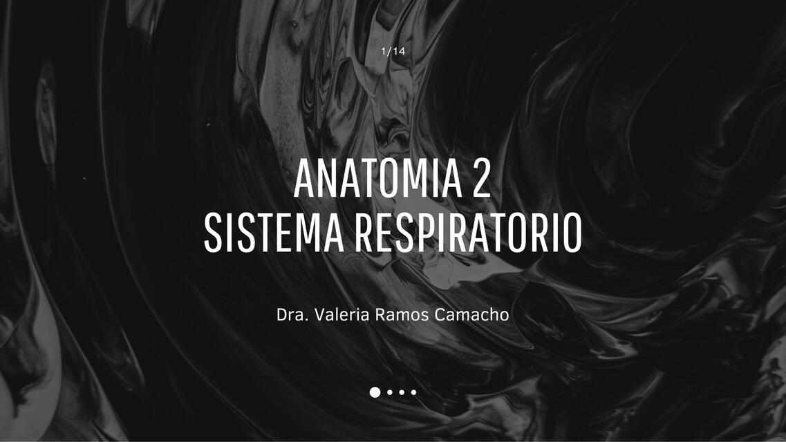 Anatomía 2 Sistema Respiratorio