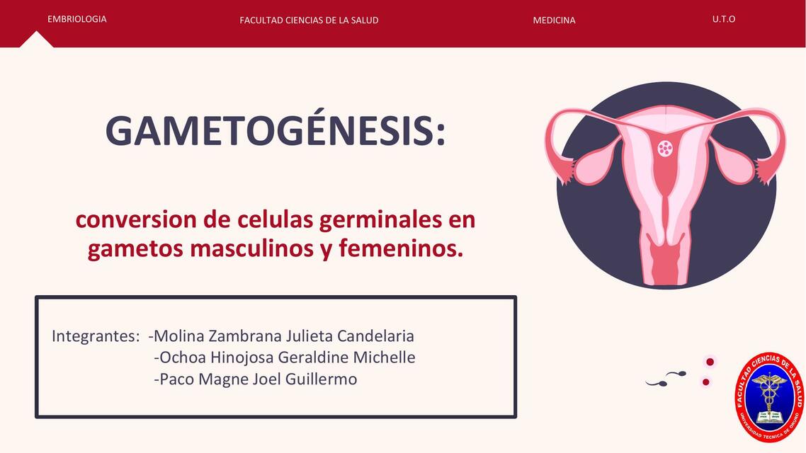 Gametogénesis 