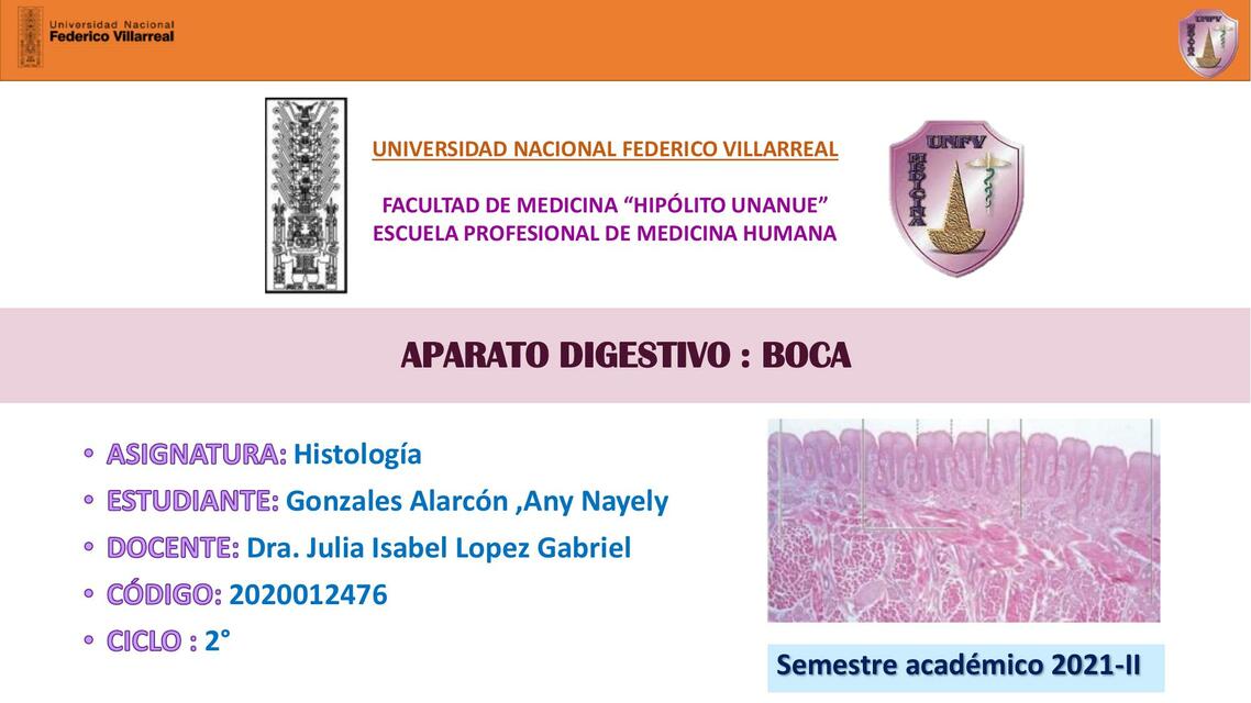 Resumen aparato digestivo boca 2