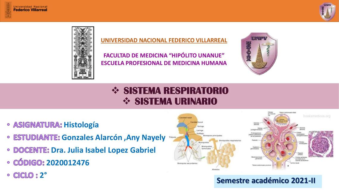 Resumen sistema respiratorio y urinario