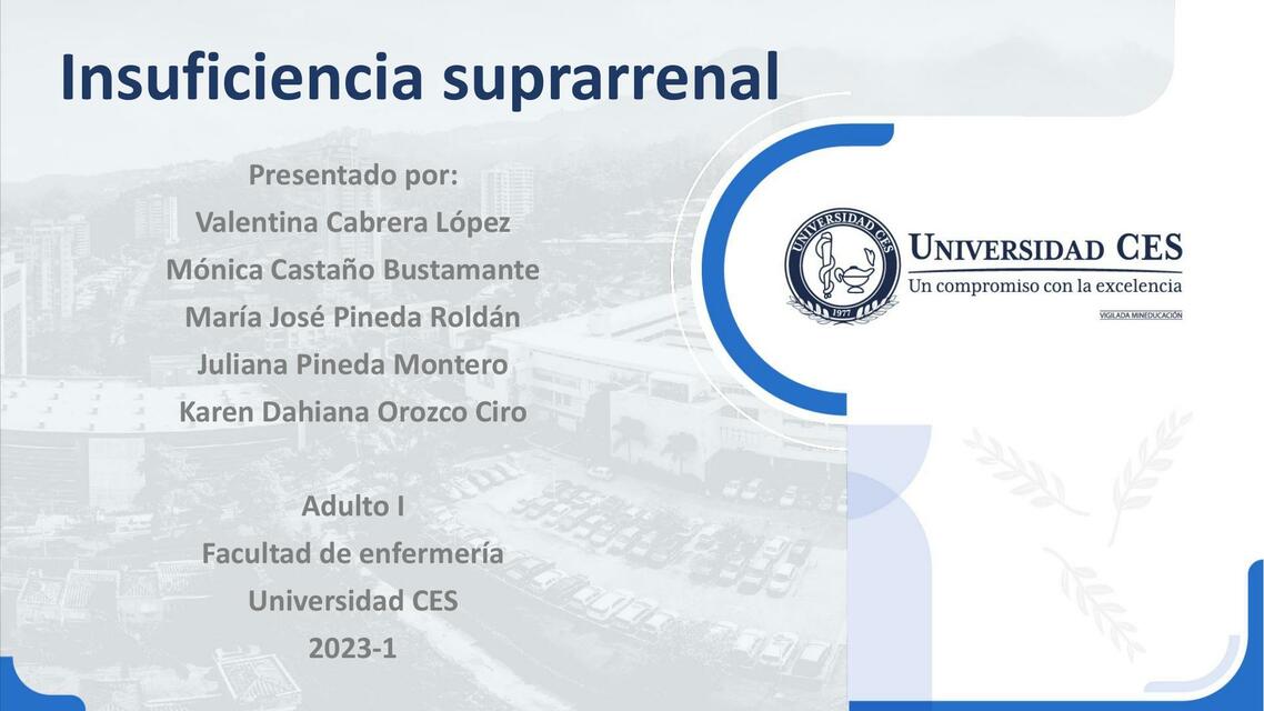 Insuficiencia suprarrenal