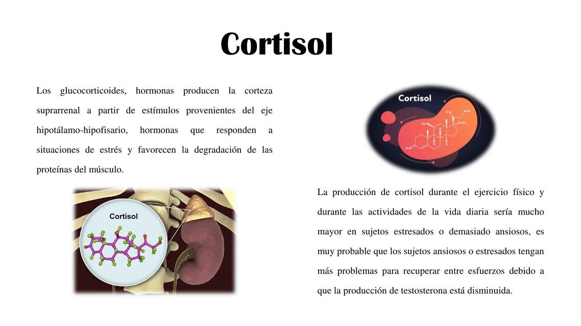 Cortisol