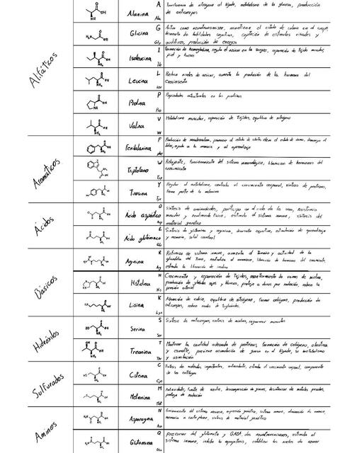 Función de los aminoácidos en la salud