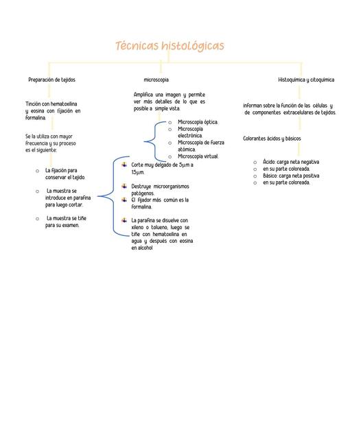 Mapa de técnicas histológicas