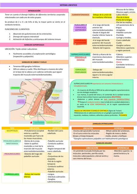 Sistema Linfático 