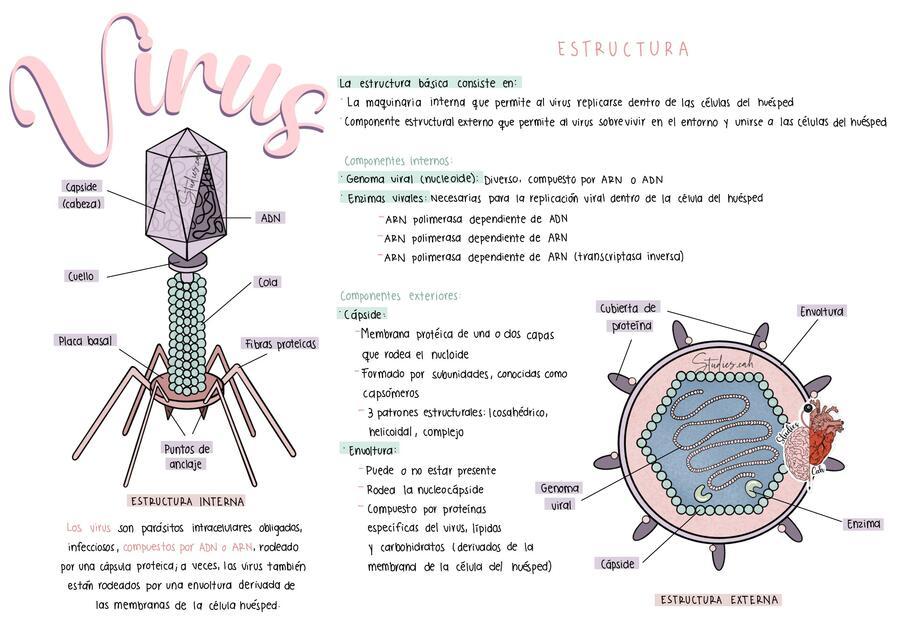 Virus