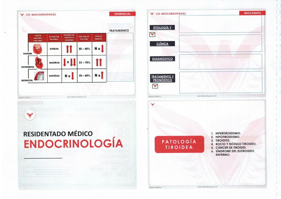 Endocrinología