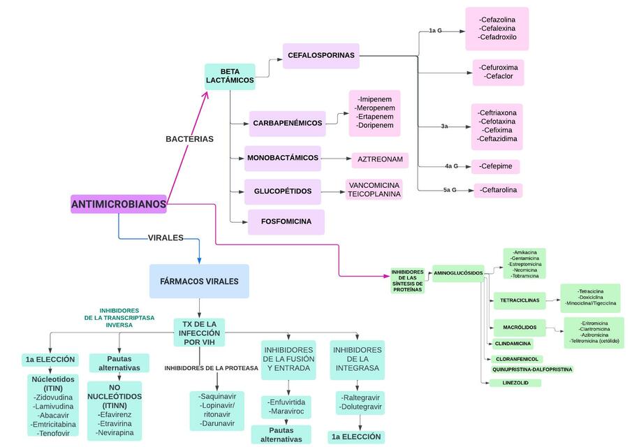 Mapa Mental de Fármacos Antimicrobianos