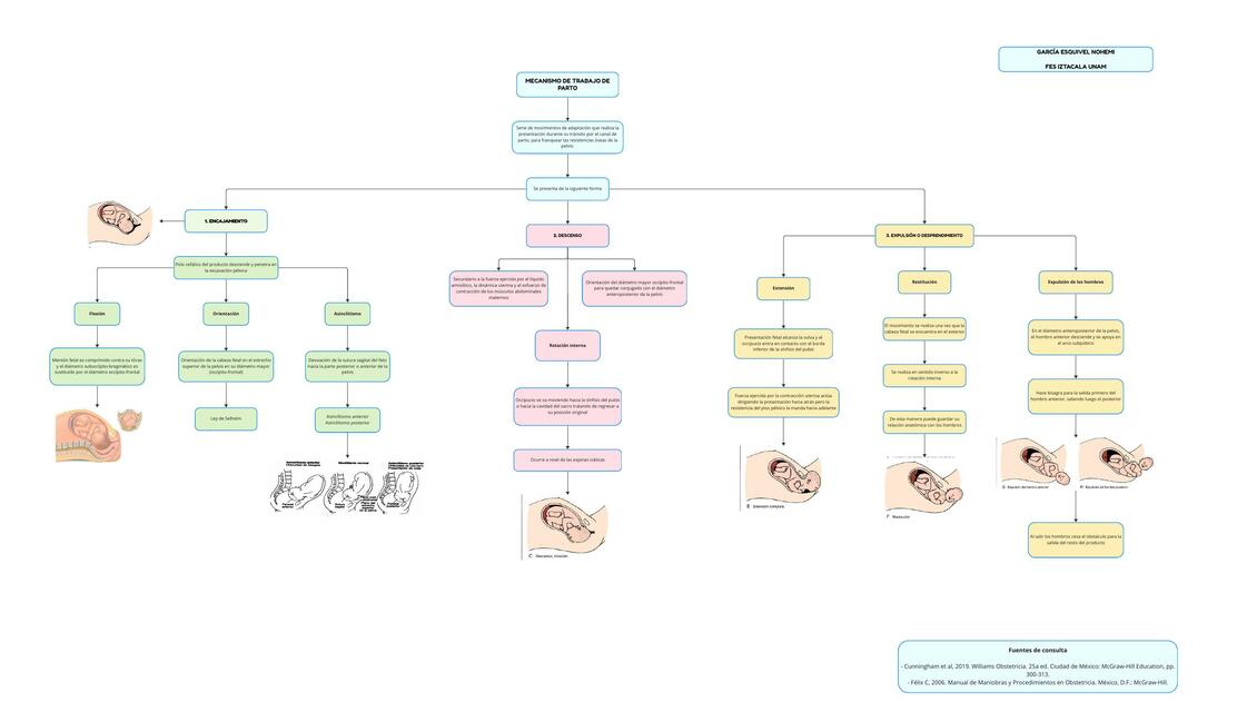 Mecanismo de Trabajo de Parto 