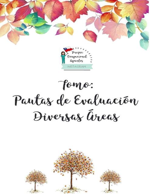 Pautas de Evaluación- Diversas Áreas