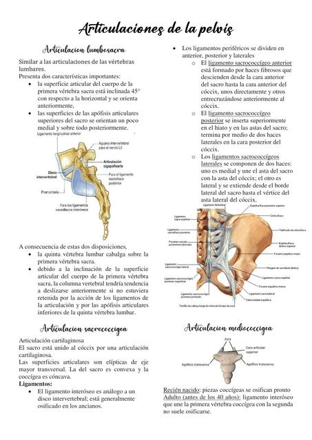 Articulaciones de la Pelvis