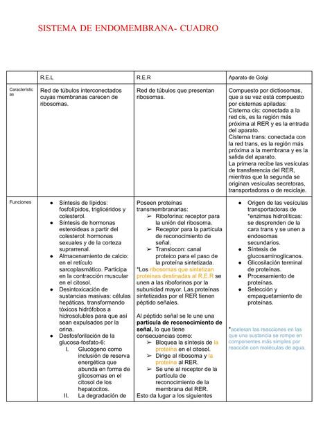 Sistema de Endomembrana 