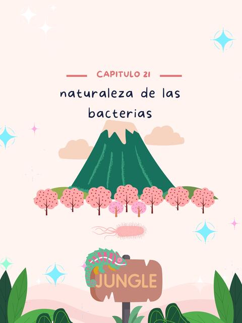 Naturaleza de las Bacterias 