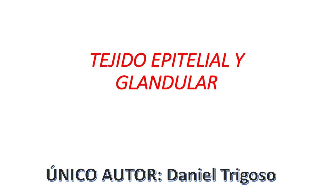 TEJIDO EPITELIAL Y GLANDULAR