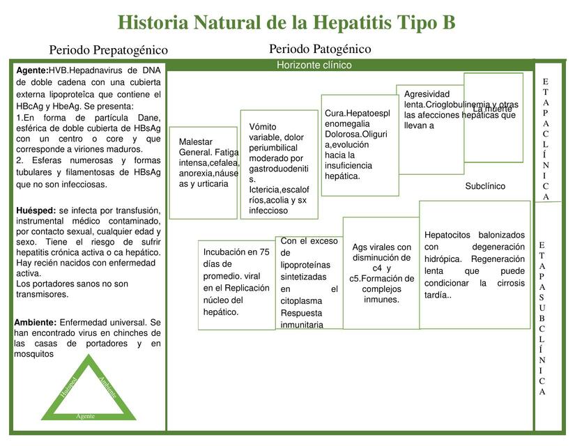 Historia Natural De La Hepatitis B | Eduardo Chávez | UDocz