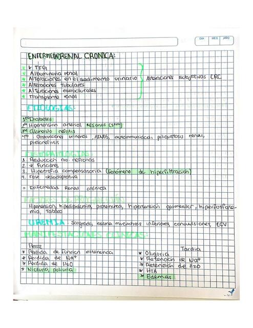 Enfermedad Renal Crónica