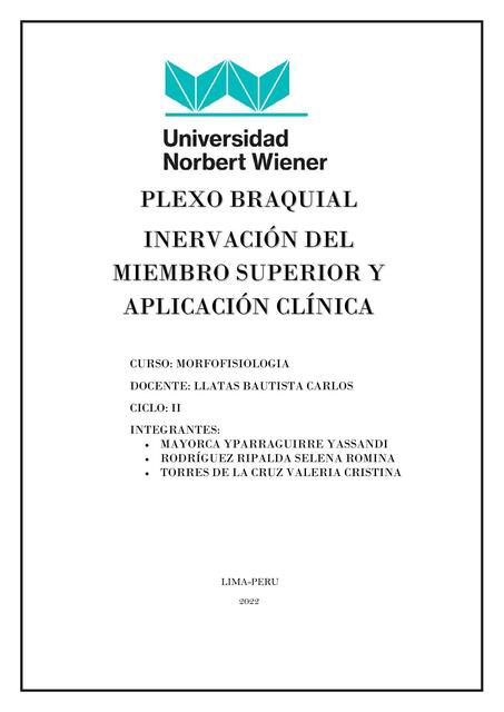 Plexo Braquial Inervación del Miembro Superior y Aplicación Clínica 