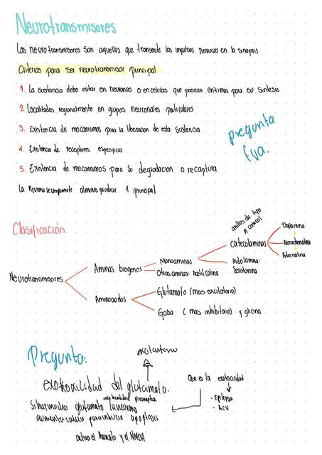 Neurotransmisores